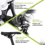DERUIZ Quartz E-Bike Damen 28 Zoll Tiefeinsteiger, 8-Gang, 48V 13.4Ah Akku, bis zu 161 km, 55Nm Drehmoment, Hydraulische Scheibenbremsen, App, City & Trekking Elektrofahrrad für Damen & Herren