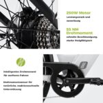 DERUIZ Quartz E-Bike Damen 28 Zoll Tiefeinsteiger, 8-Gang, 48V 13.4Ah Akku, bis zu 161 km, 55Nm Drehmoment, Hydraulische Scheibenbremsen, App, City & Trekking Elektrofahrrad für Damen & Herren