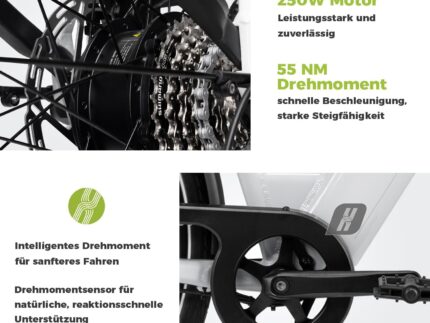 DERUIZ Quartz E-Bike Damen 28 Zoll Tiefeinsteiger, 8-Gang, 48V 13.4Ah Akku, bis zu 161 km, 55Nm Drehmoment, Hydraulische Scheibenbremsen, App, City & Trekking Elektrofahrrad für Damen & Herren