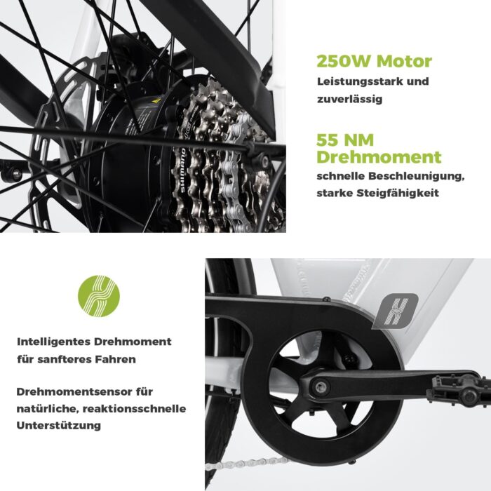DERUIZ Quartz E-Bike Damen 28 Zoll Tiefeinsteiger, 8-Gang, 48V 13.4Ah Akku, bis zu 161 km, 55Nm Drehmoment, Hydraulische Scheibenbremsen, App, City & Trekking Elektrofahrrad für Damen & Herren