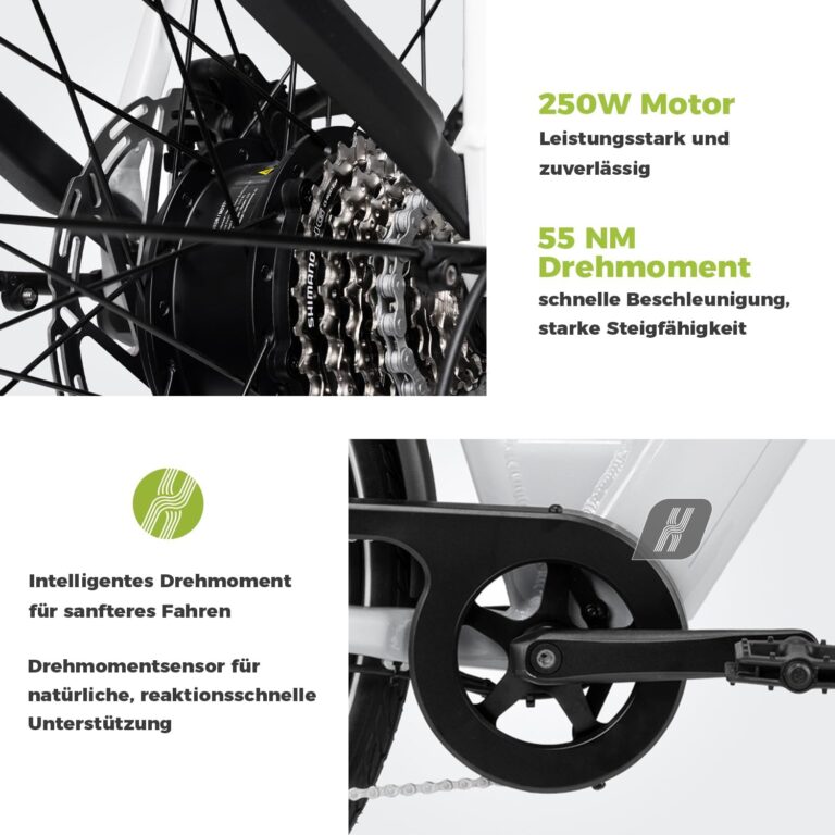 DERUIZ Quartz E-Bike Damen 28 Zoll Tiefeinsteiger, 8-Gang, 48V 13.4Ah Akku, bis zu 161 km, 55Nm Drehmoment, Hydraulische Scheibenbremsen, App, City & Trekking Elektrofahrrad für Damen & Herren