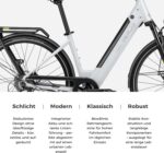 DERUIZ Quartz E-Bike Damen 28 Zoll Tiefeinsteiger, 8-Gang, 48V 13.4Ah Akku, bis zu 161 km, 55Nm Drehmoment, Hydraulische Scheibenbremsen, App, City & Trekking Elektrofahrrad für Damen & Herren